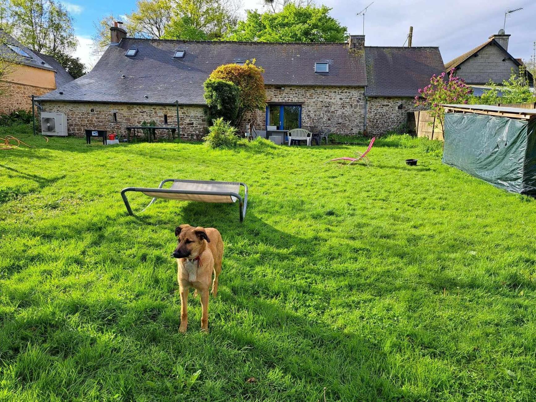 Un Petit Coin De Paradis Pres De Rennes Tresboeuf Buitenkant foto